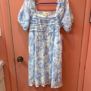 Sweet Wanderer Blue and White Midi Dress